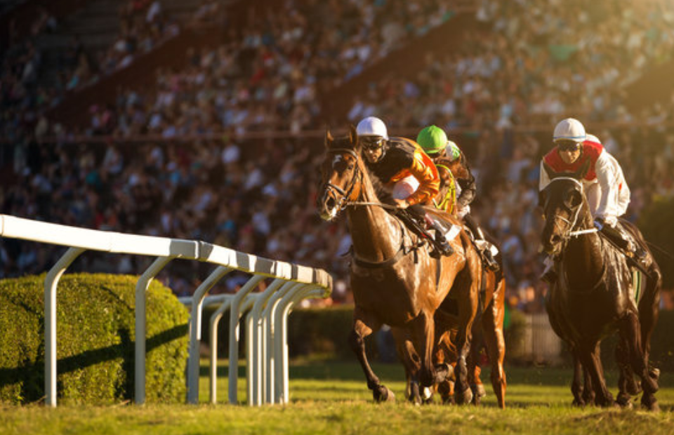 Flat race