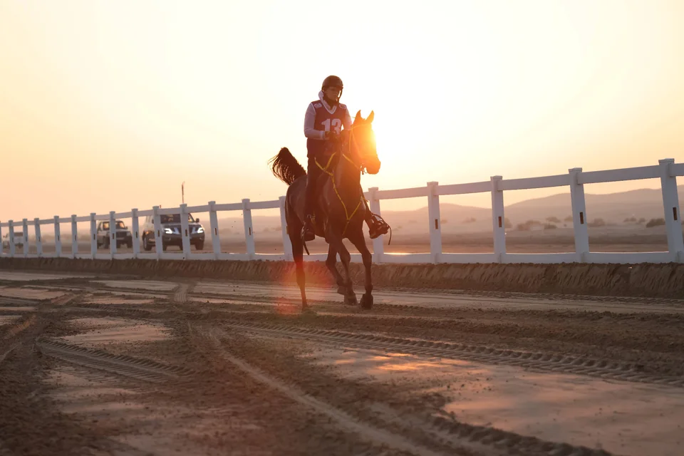 Endurance rider at sunset