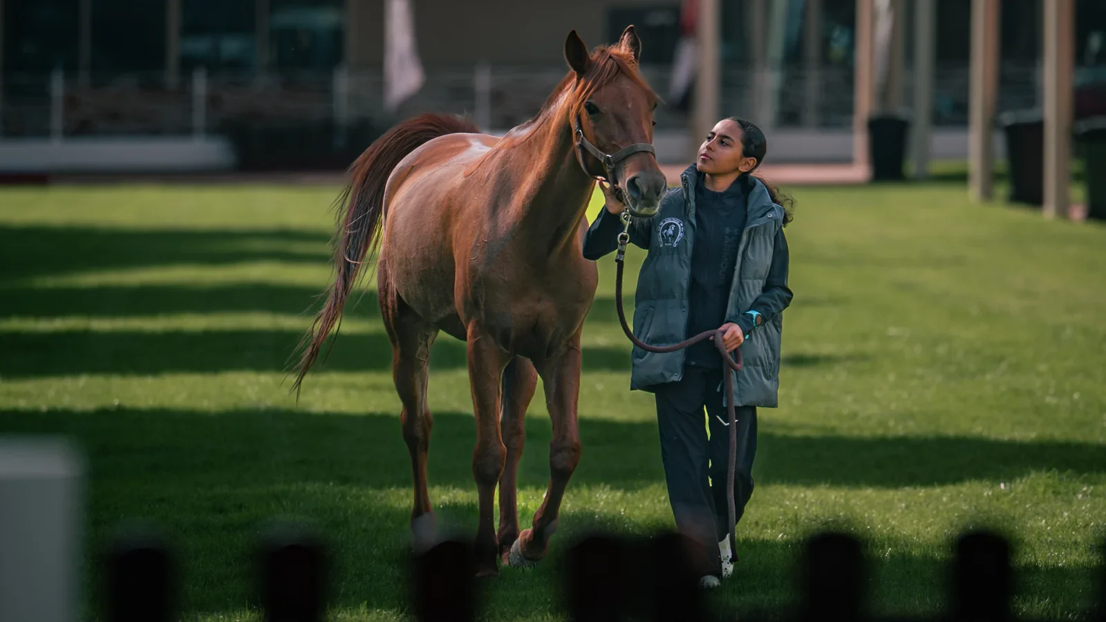 Horse welfare at the heart of every stride