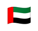 UAE flag