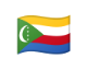 COM flag