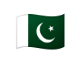 PAK flag