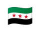 SYR flag