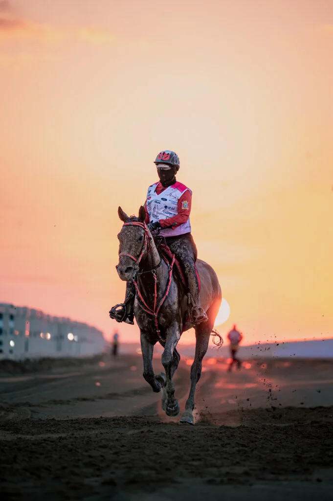 Twilight Rider
