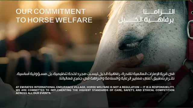 Horse Welfare Policy page 2
