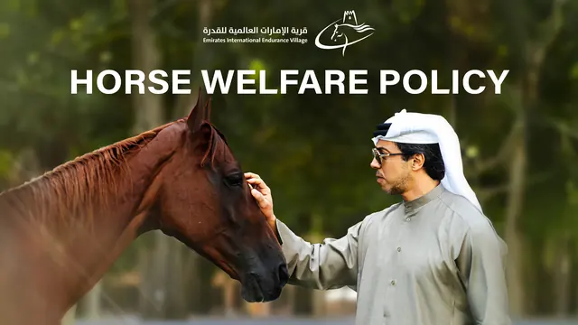 Horse Welfare Policy page 1