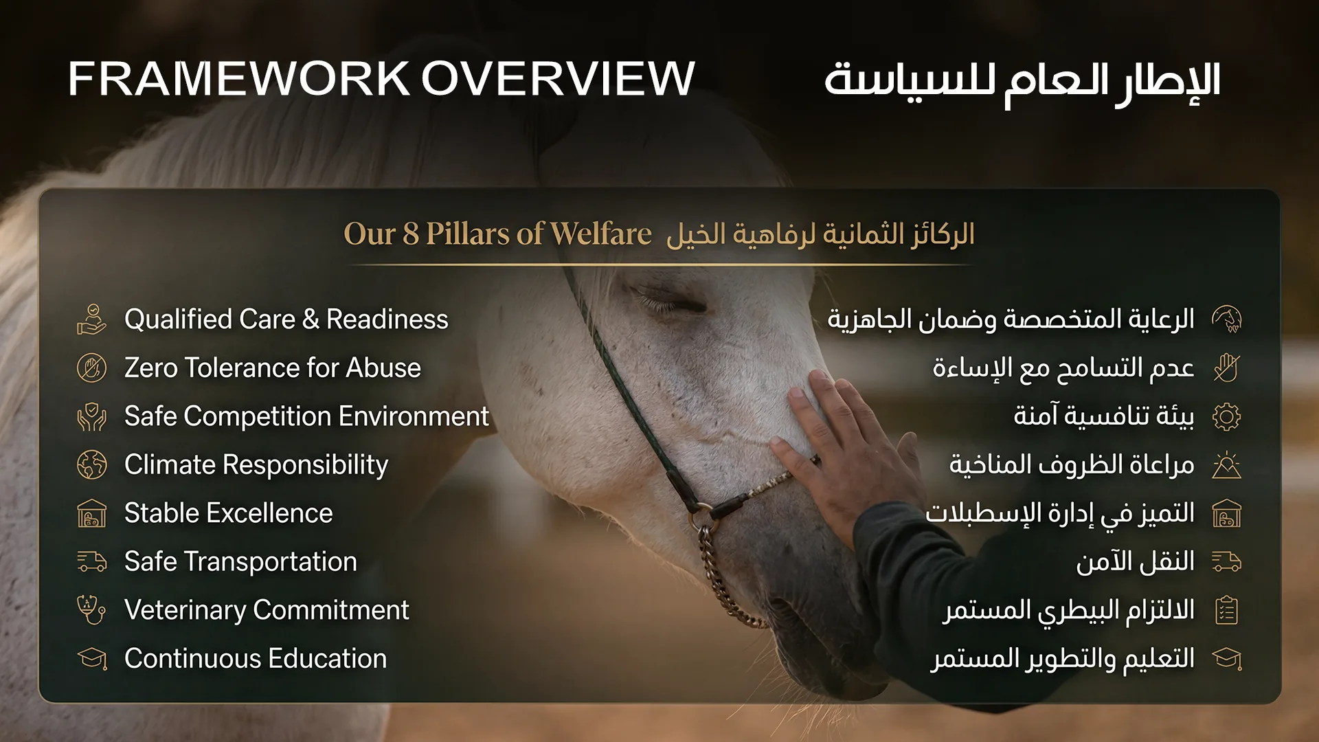 EIEV eight pillars of welfare framework overview