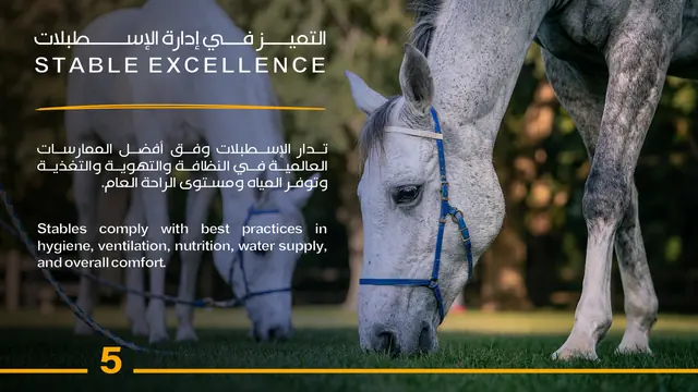 Stable Excellence