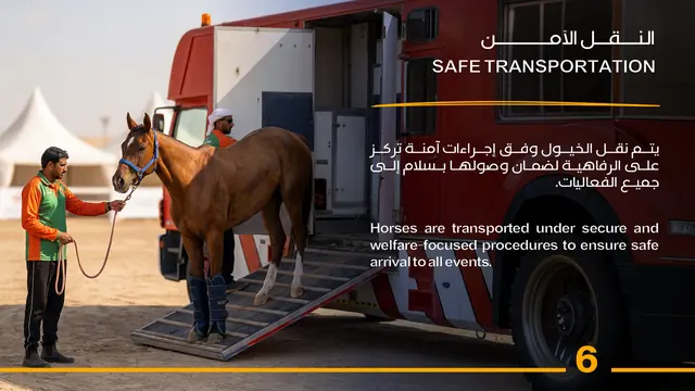 Safe Transportation