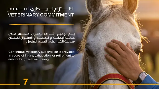 Veterinary Commitment